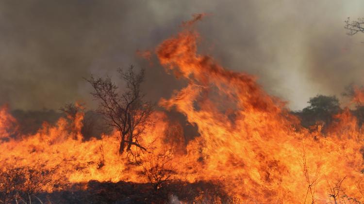 Wildfire in Kruger